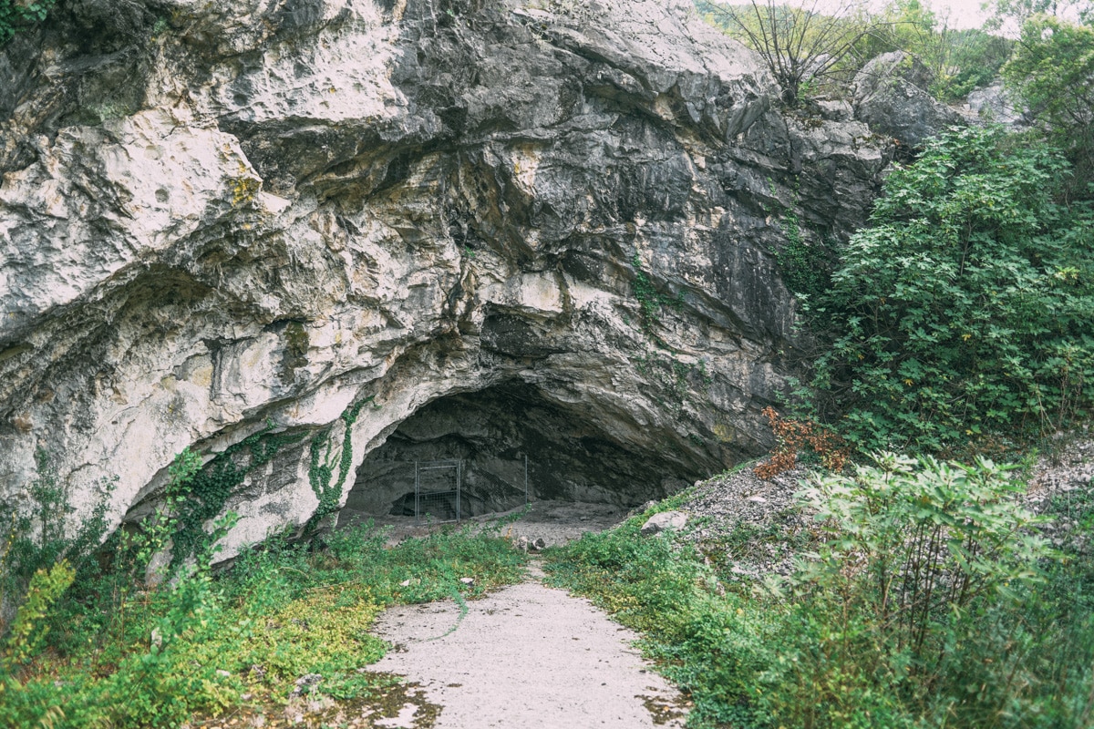 rudnik paklina